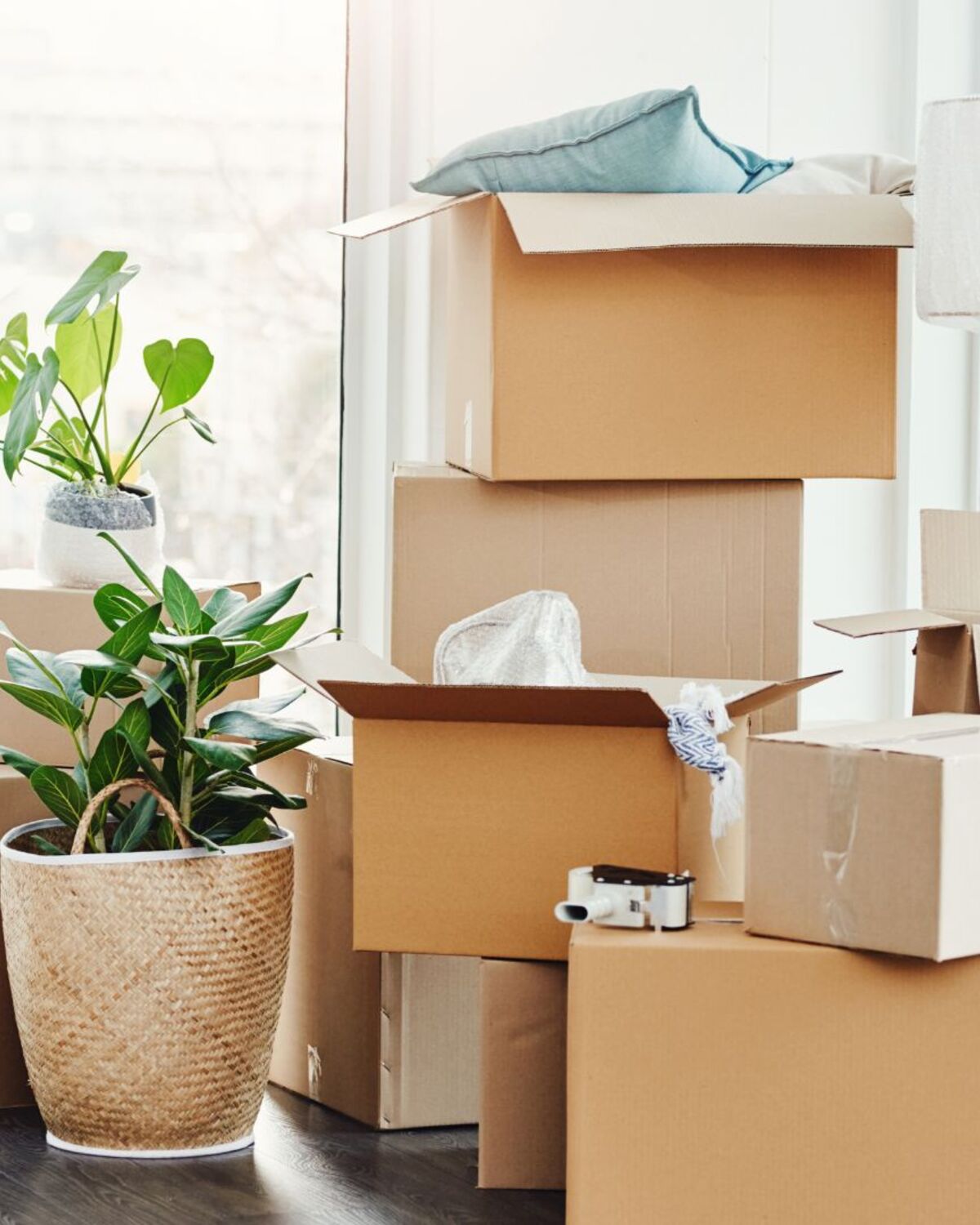 Packed household boxes and a rolled rug staged in a Vermont home