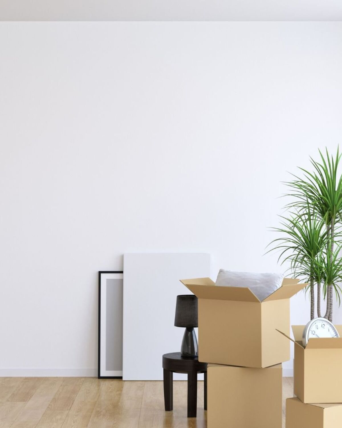 Bright empty room with remaining boxes and a stepladder
